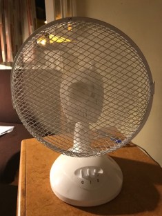 Fan
